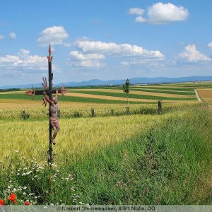 Grünkreuz in Spannberg