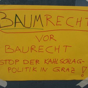 Baumrecht vor Baurecht- Hilfsaktion für den Altbaumbestand