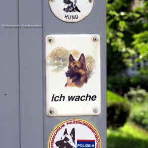 Ich wache