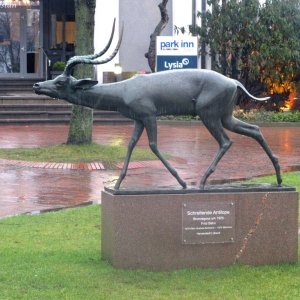 Lübeck- Schreitende Antilope