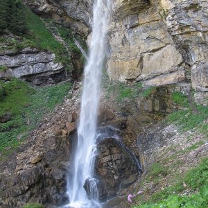 Johannesfall