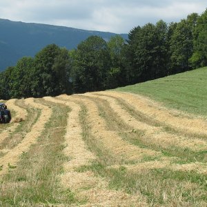Feldarbeit