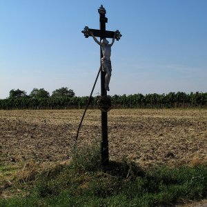 Schwarzes Kreuz Sulz im Weinviertel