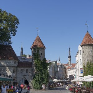 Tallinn - 9