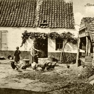 Landwirtschaft in Flandern