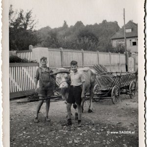 Jugend am Bauernhof