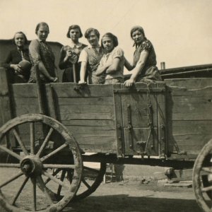 Auf der Landwirtschaft