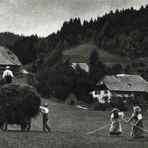 Schwarzwaldhaus