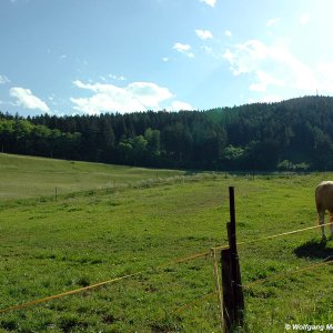Ferrariwiese Innsbruck
