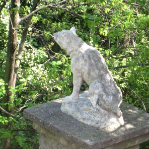 Medium 'Sage Steinerer Hund, Grazer Schlossberg' in der Kategorie 'Graz - Ansichten aus Graz, Steiermark'