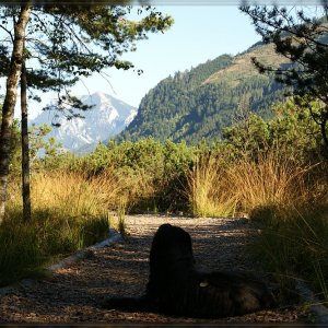 Pürgschachner Moor