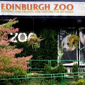 Edinburgh Zoo