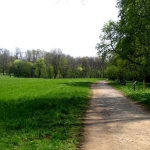 Lainzer Tiergarten bei der Hermesvilla.