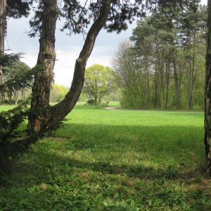 Lainzer Tiergarten bei der Hermesvilla.
