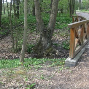 Lainzer Tiergarten bei der Hermesvilla.