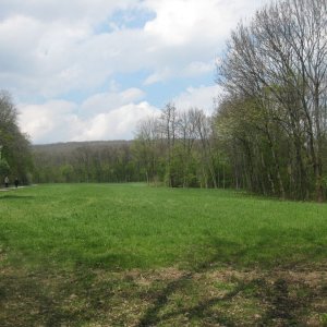 Lainzer Tiergarten bei der Hermesvilla.