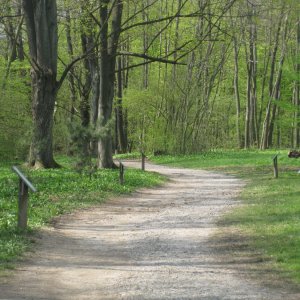 Lainzer Tiergarten bei der Hermesvilla.