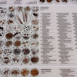 Naturkundemuseum Graz Joanneum