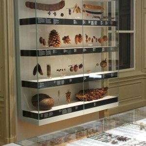 Naturkundemuseum Graz Joanneum
