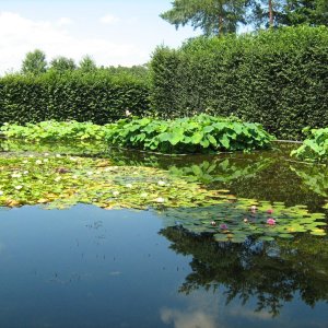 Österreichischer Skulpturenpark, Graz