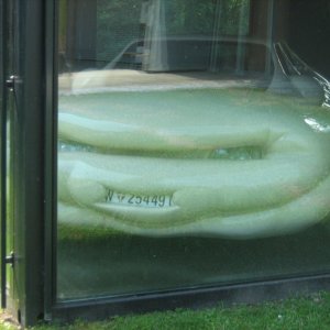 Erwin Wurm-Fat Car, Österreichischer Skulpturenpark, Graz