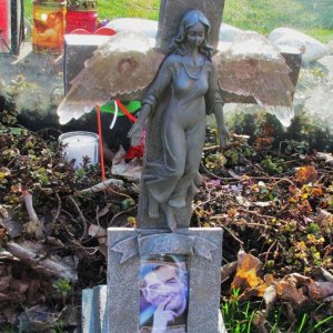 Falco - Zentralfriedhof