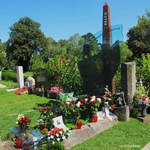 Falco - Zentralfriedhof