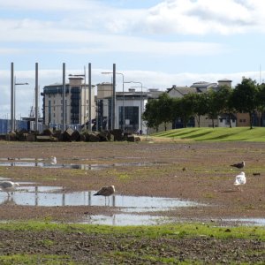 Am Hafen von Leith, Edinburgh
