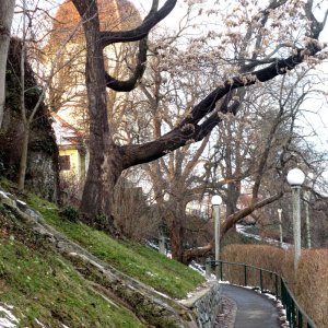 Weg zur Liesl- Glockenturm Grazer Schloßberg