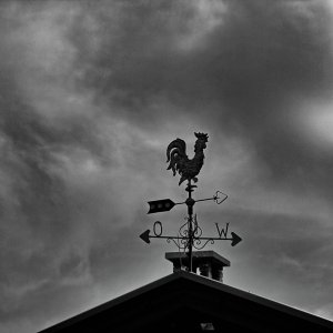 Wetterhahn