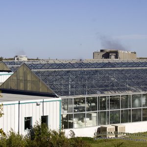 Shand Power Greenhouse, Saskatchewan