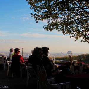 Herbstliche Nachmittagssonne