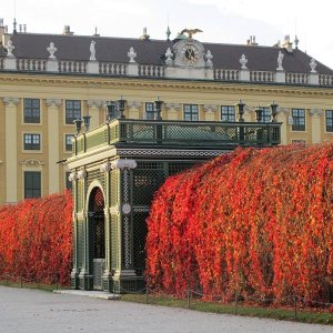 Herbst in Schönbrunn