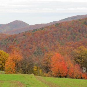 Herbst zwischen Sulzer Höhe und Höllenstein