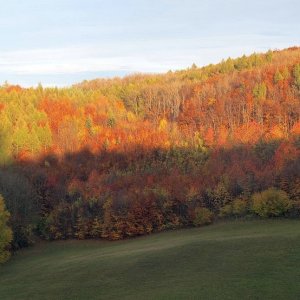 Herbst zwischen Sulzer Höhe und Höllenstein