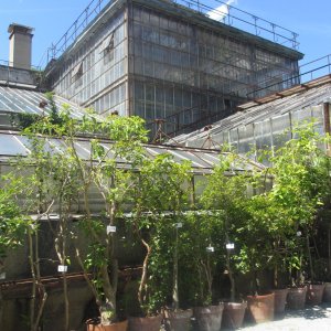 Historische Gewächshäuser, Botanischer Garten Graz