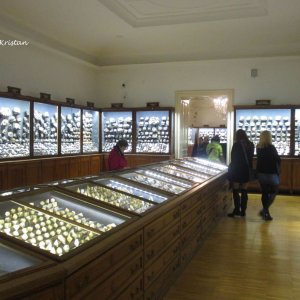 Abteilung für Geologie, Joanneum Graz