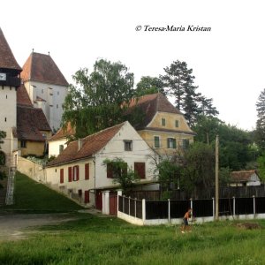 Kirchenburg, Bazna