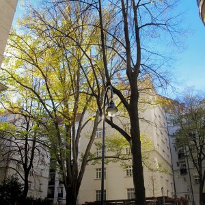 Metzleinstaler Hof in Wien-Margareten