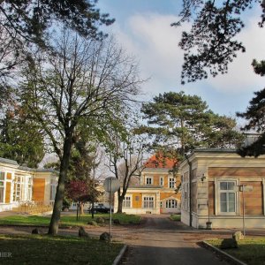 Wilhelminenspital (heute: Klinik Ottakring)