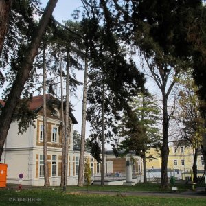 Wilhelminenspital (heute: Klinik Ottakring)