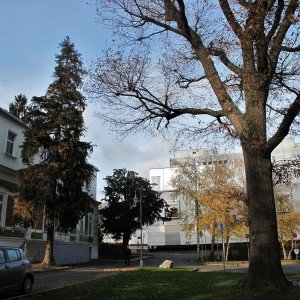 Alt und neu im Wilhelminenspital (heute: Klinik Ottakring)