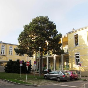 Wilhelminenspital (heute: Klinik Ottakring)