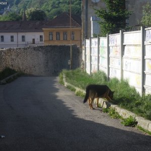 Brasov- an der alten Stadtmauer