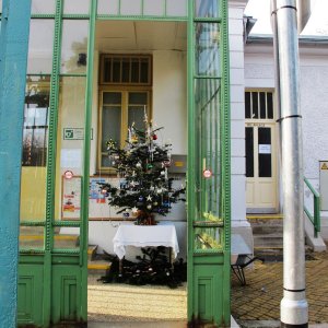 Weihnachtsbäumchen im Pförtnerhaus Otto-Wagner-Spital