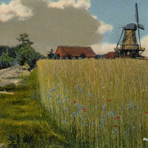 Windmühle im Delmenhorster Geest