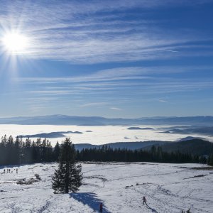 Nebel, Sonne und etwas Schnee