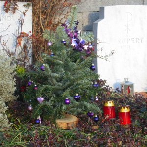 Weihnachtsbäumchen, Friedhof  St. Veit