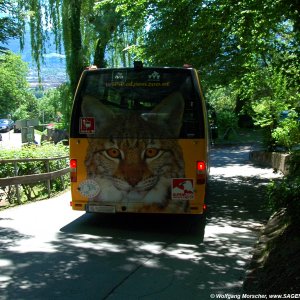 Tierblicke beim Alpenzoo Innsbruck