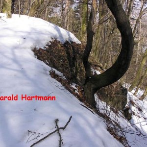 Donauwartebahn - Brückenfundament